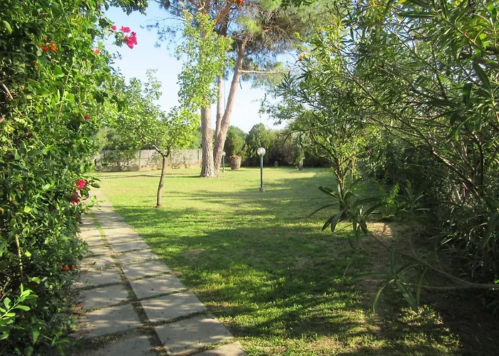 Nyaraló Sunrise 77